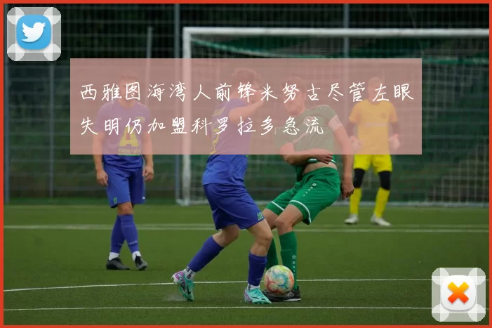 西雅图海湾人前锋米努古尽管左眼失明仍加盟科罗拉多急流